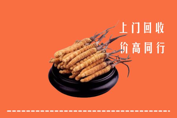 高价求购：清远市清城回收散虫草