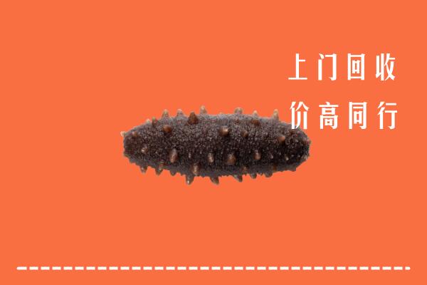 高价求购：清远市清城回收海参